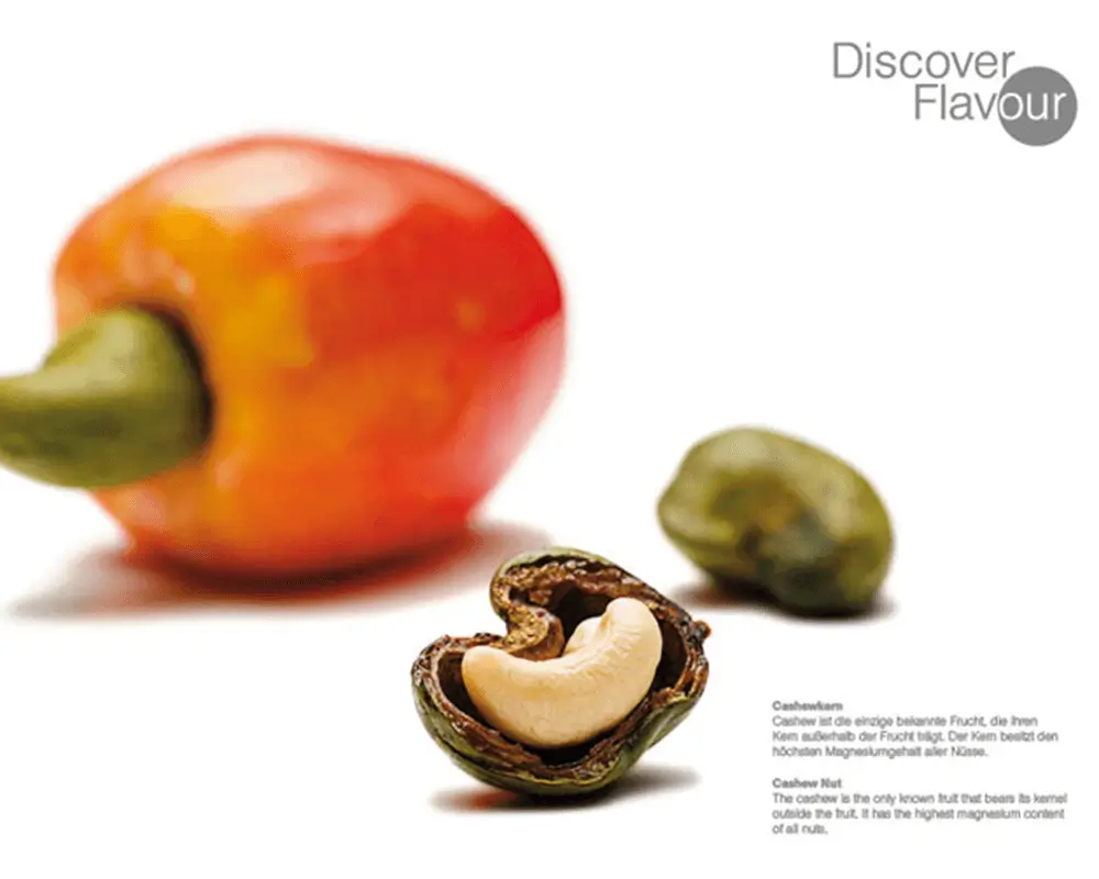 Lufthansa Arbeiten Sven Niemeyer getniemeyer